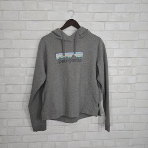 Patagonia Women's Heather Gray Hoodie with Mountain Graphic